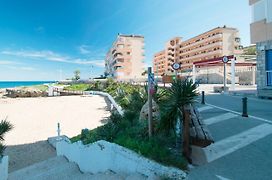 074 Tropical Paradise - Alicante Holiday