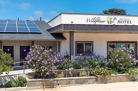 Wildflower Boutique Motel