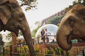 Anantara Golden Triangle Elephant Camp & Resort Chiang Rai Exterior photo