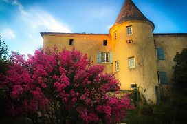 Chateau Gros Puy, Petit Chateau chambre d'hote