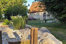 La BerryCurienne proche du Zoo de Beauval Saint-Aignan avec SDB, WC ET SPA PRIVATIF pour chaque chambre