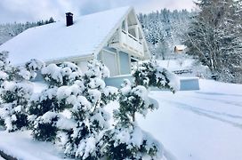 Chalet Le Flocon Bleu - Mauselaine avec vue sur le Lac de Gérardmer