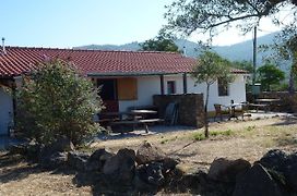 Casa Vermelha & Casa Azul