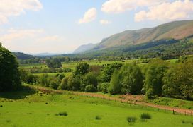 Arndean Cottages