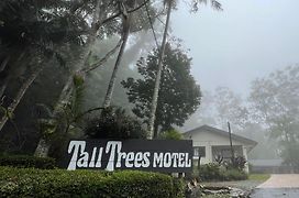 Tall Trees Motel Mountain Retreat