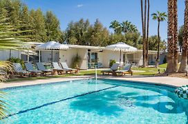 Monkey Tree Hotel By Avantstay Stylish Hotel In Palm Springs W Pool
