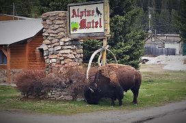 Alpine Motel Of Cooke City
