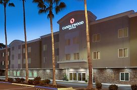 Candlewood Suites - Safety Harbor, An Ihg Hotel