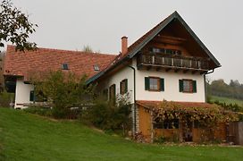 Bauernhof Grain Villa Feldbach  Exterior photo