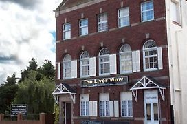 The Liver View