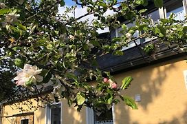 Am Apfelbaum, ein Ferienhaus im Hunsrück