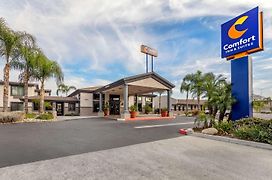 Comfort Inn And Suites Colton/San Bernardino