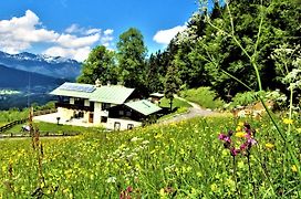 Atemberaubendes Bergpanorama und herrliche alpinen Almlandschaft 4 Nichtraucherdomizil