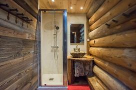 Magnifique chalet en rondins avec sauna - Vercors