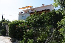 Apartments And Rooms With Parking Space Bozava, Dugi Otok - 8100