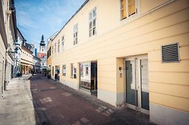 Ferienapartment Passauer Wolf im Zentrum