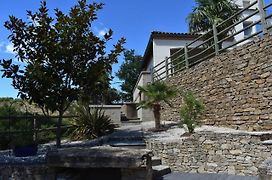 Chambre Au Calme Avec Spa Privatif Gratuit Sud Aveyron Les Palmiers Des Causses
