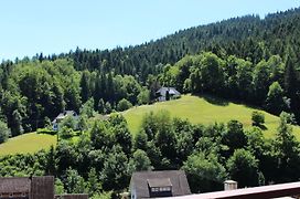 Ferienwohnung Schwarzwaldblick