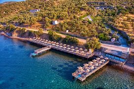 Assos Dionysos Special Class Hotel Adults Only 16