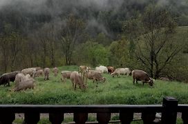 Can Serraima, Casa rural en ple Pirineu