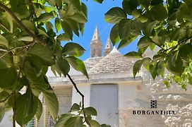 Borganthia - Il Chiostro Dei Medici