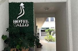 Hotel Gallo