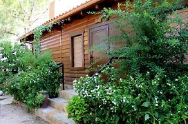 Casas de Madera Los Molinos