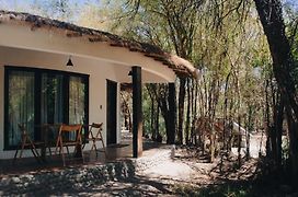 Lodge Atacama Horse