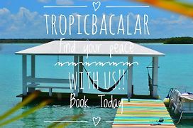 Tropic Bacalar