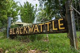 Blackwattle Farm