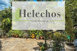 Helechos Hotel