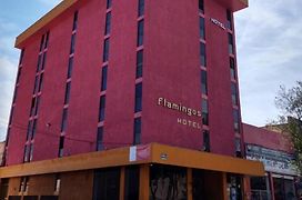 Hotel Flamingos