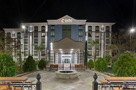 Comfort Inn&Suites New Orleans Airport North