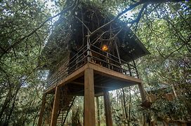 Inn On The Tree Eco Resort Sigiriya