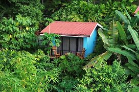 Villas In Sueno Private Jungle Hotel