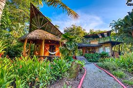 Tree House Beachfront Lodge