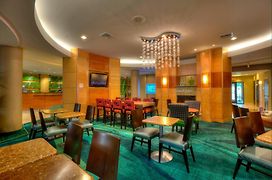 Springhill Suites By Marriott - Tampa Brandon