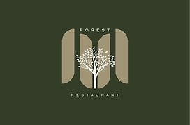 Forest M,Constanta