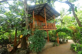 Sigiri Sky Home & Treehouse