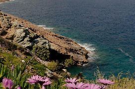 Rock Bay Villas - Luxury Villas In Crete