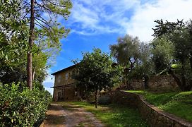 Agriturismo Podere Cottimellino - B&B In Val D'Orcia