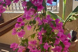 Fleur De Cactus, Guesthouse, Tamraght