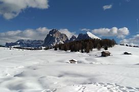 Casaviva - Grazioso Bilocale All'Alpe Di Siusi