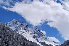 Pension Edelweiss - Bergdorf Gargellen 1423M