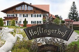 Haflingerhof