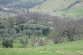 Agriturismo Casa Fibbianello