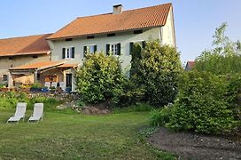 Ferienhaus am Donauspitz