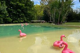 Le Patio, chambres d hôtes pour adultes en Camargue, possibilité de naturisme à la piscine,
