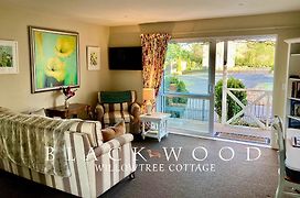Willow Tree Cottage