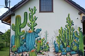 Domki Kaktus